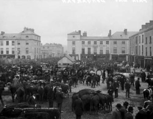 Waterford 1900 ficha tecnica